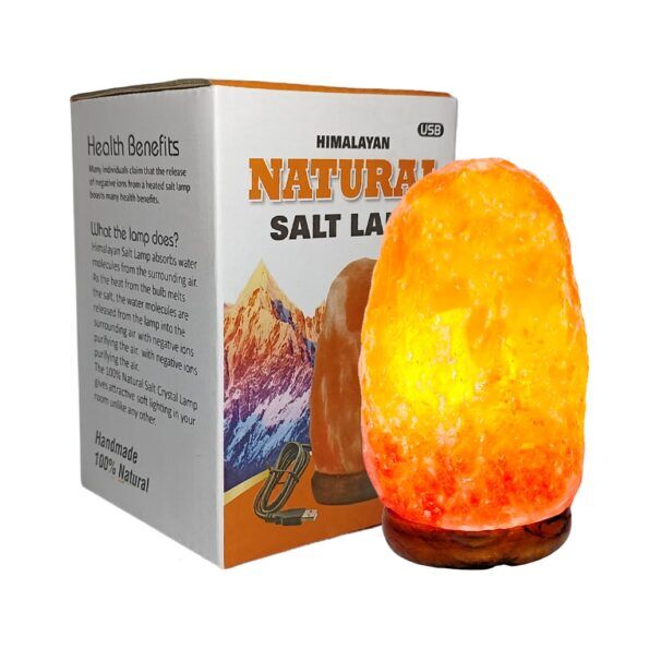 Natural USB Lamp1